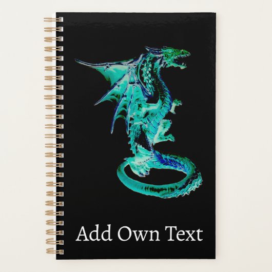 Zee Blue Dragon Planner (Voorkant)