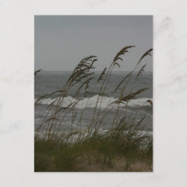 Zee Breeze Briefkaart