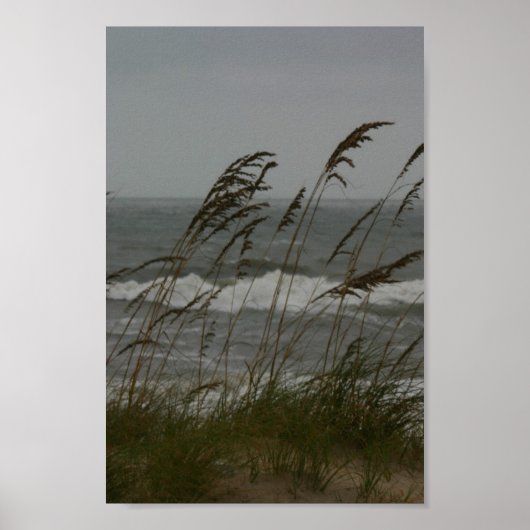 Zee Breeze Poster (Voorkant)