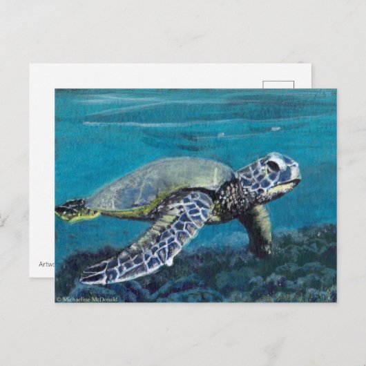 Zee Briefkaart (Voorkant / Achterkant)