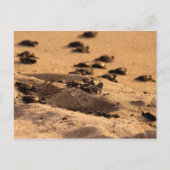 Zee Briefkaart (Voorkant)