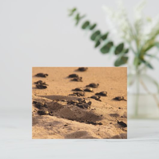 Zee Briefkaart (Staand voorkant)