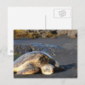 Zee Briefkaart (Voorkant / Achterkant)