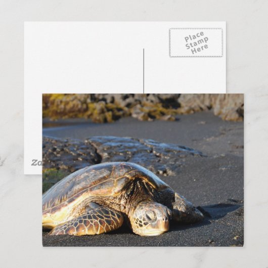 Zee Briefkaart (Voorkant / Achterkant)