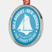 Zee Bright (sloep) Metalen Ornament (Links)