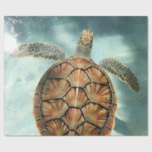 Zee Cadeaupapier (Vlak)