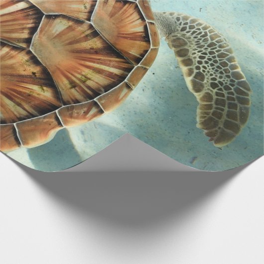 Zee Cadeaupapier (Hoek)