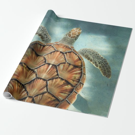 Zee Cadeaupapier (Uitgerold)