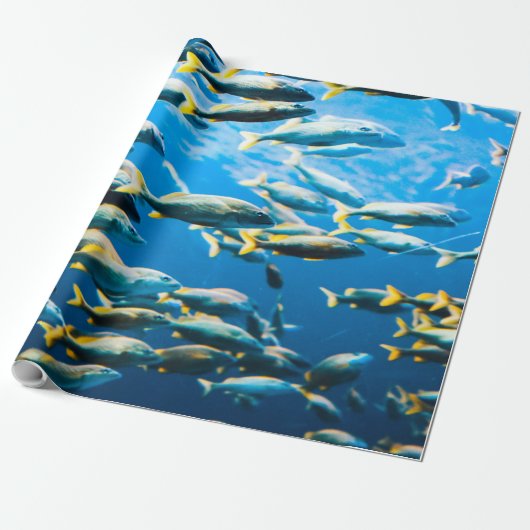 Zee Cadeaupapier (Uitgerold)