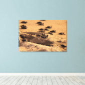 Zee Canvas Afdruk (Insitu (Houten vloer))