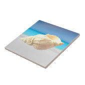Zee caracol en oceaan tegeltje (Zijkant)