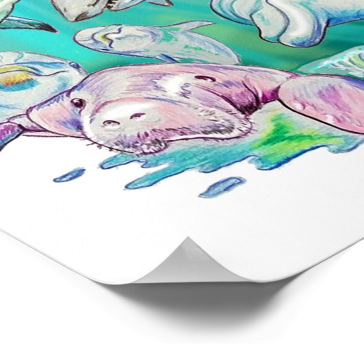 Zee Circle of Life Value Poster Paper (Matte) (Hoek)