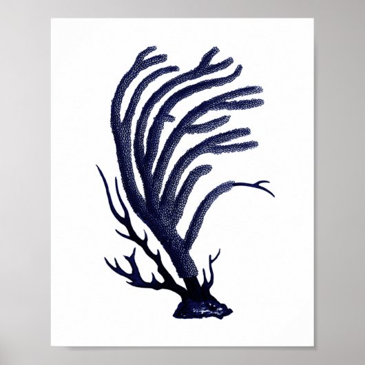 Zee Coral Navy Blue Coastal Wall Art Poster (Voorkant)