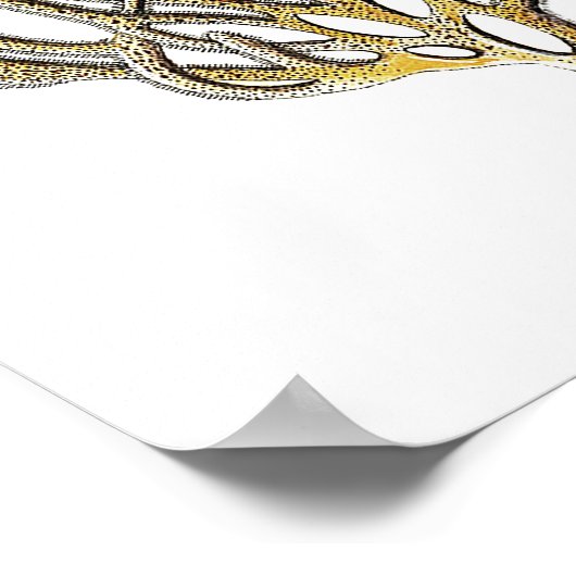 Zee Coral No.1 Antiek Natuurgeschiedenis Afdrukken Poster (Hoek)