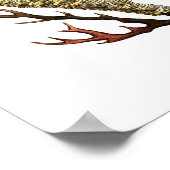 Zee Coral No.2 Antiek Natuurgeschiedenis Afdrukken Poster (Hoek)