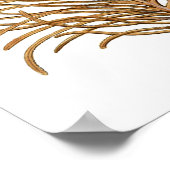 Zee Coral No.8 Antiek Natuurhistorie Afdrukken Poster (Hoek)