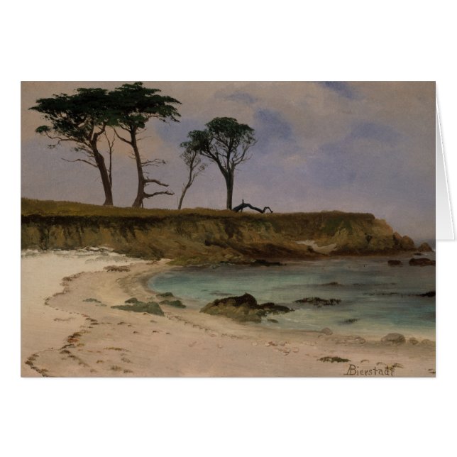 Zee Cove (Voorkant Horizontaal)