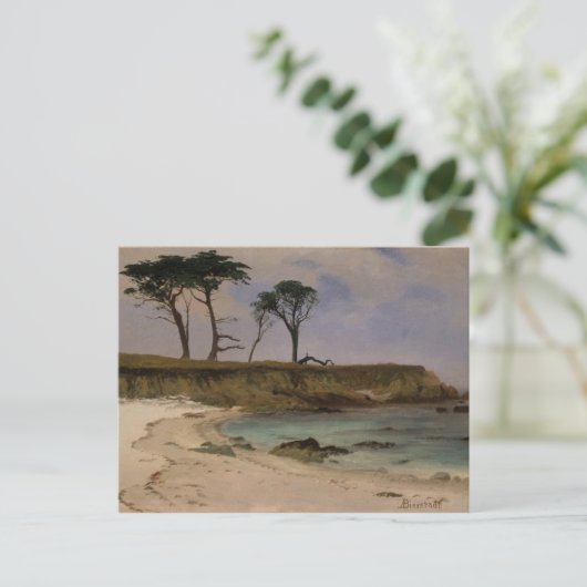 Zee Cove Briefkaart (Staand voorkant)