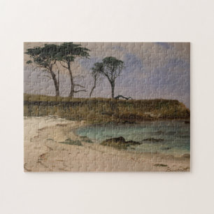 Zee Cove Legpuzzel