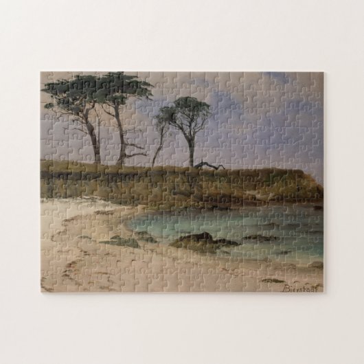 Zee Cove Legpuzzel (Horizontaal)