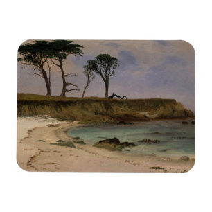 Zee Cove Magneet