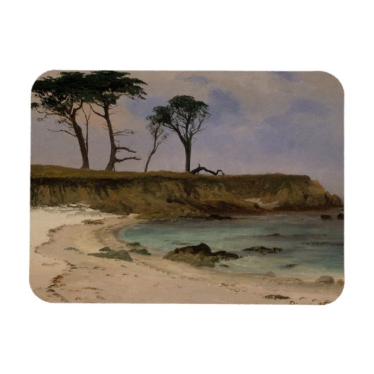 Zee Cove Magneet (Horizontaal)