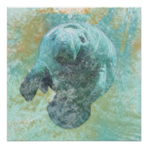 Zee  Cow Art Poster beheren