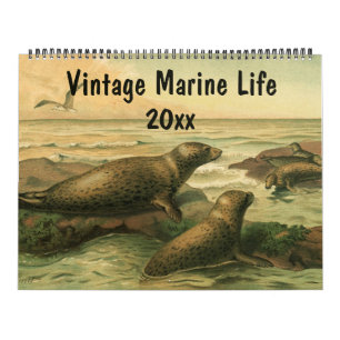  Zee Creaters and Ocean Marine Life Animal Kalender