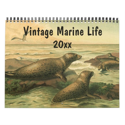 Zee Creaters and Ocean Marine Life Animal Kalender (Hoes)