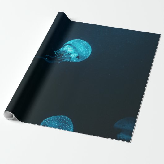 Zee creaties cadeaupapier (Uitgerold)