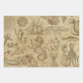 Zee creatinineklaring Inpakpapier Vel (Voorkant)