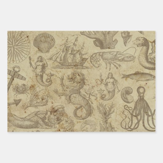 Zee creatinineklaring Inpakpapier Vel (Voorkant)