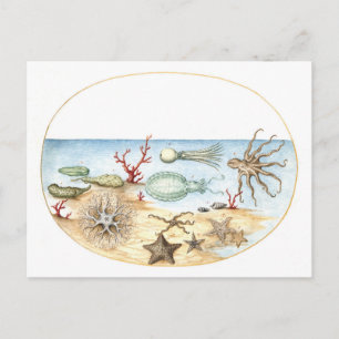 Zee Creatures Illustratie Briefkaart