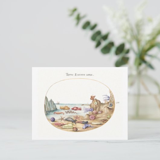 Zee Creatures Illustratie Briefkaart (Staand voorkant)
