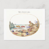 Zee Creatures Illustratie Briefkaart (Voorkant)