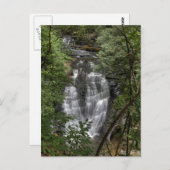 Zee Creek Herfsten Briefkaart (Voorkant / Achterkant)