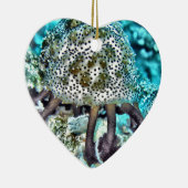 Zee Cucumber.jpg Keramisch Ornament (Rechts)