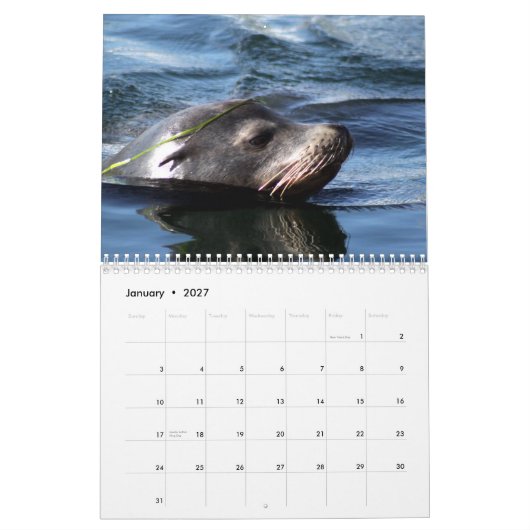 Zee dieren 2015 kalender (Jan 2027)