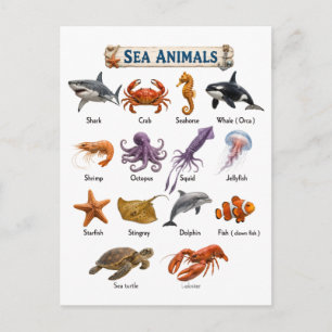 Zee Dieren Briefkaart