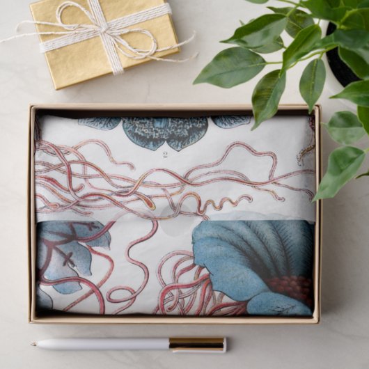 Zee Discomedusae 8 Ernst Haeckel Ontkoppeling Tissuepapier (Geschenk)