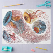 Zee Discomedusae 8 Ernst Haeckel Ontkoppeling Tissuepapier (Craft)