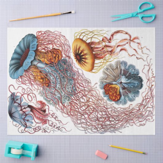 Zee Discomedusae 8 Ernst Haeckel Ontkoppeling Tissuepapier (Craft)