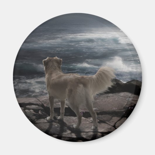 Zee Dog Magneet (Voorkant)