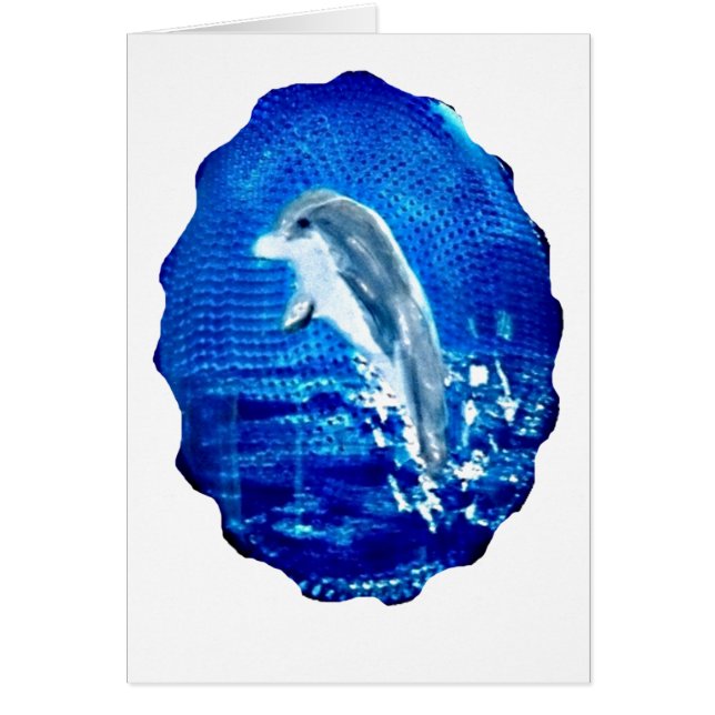 Zee dolfijn (Voorkant)