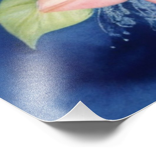 Zee Dolfijn Foto Afdruk (Hoek)