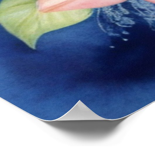 Zee Dolfijn Poster (Hoek)