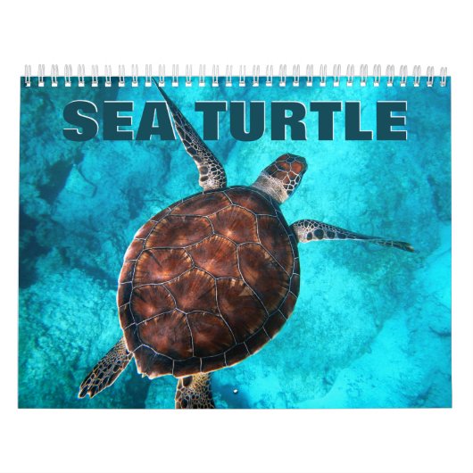 Zee Draaimolkalender Kalender (Hoes)