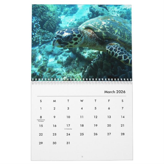 Zee Draaimolkalender Kalender (Mar 2026)