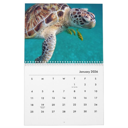 Zee Draaimolkalender Kalender (Jan 2026)