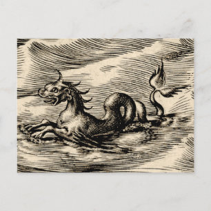 Zee Dragon bij de evenaar Briefkaart